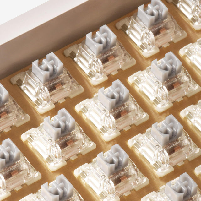 gateron g silver pro 2.0 in board
